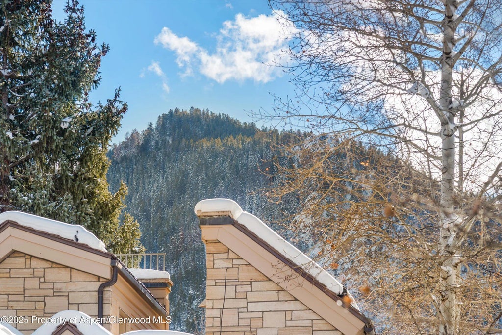 24 of 28 - 825 E Hopkins Avenue 2s, Aspen, CO