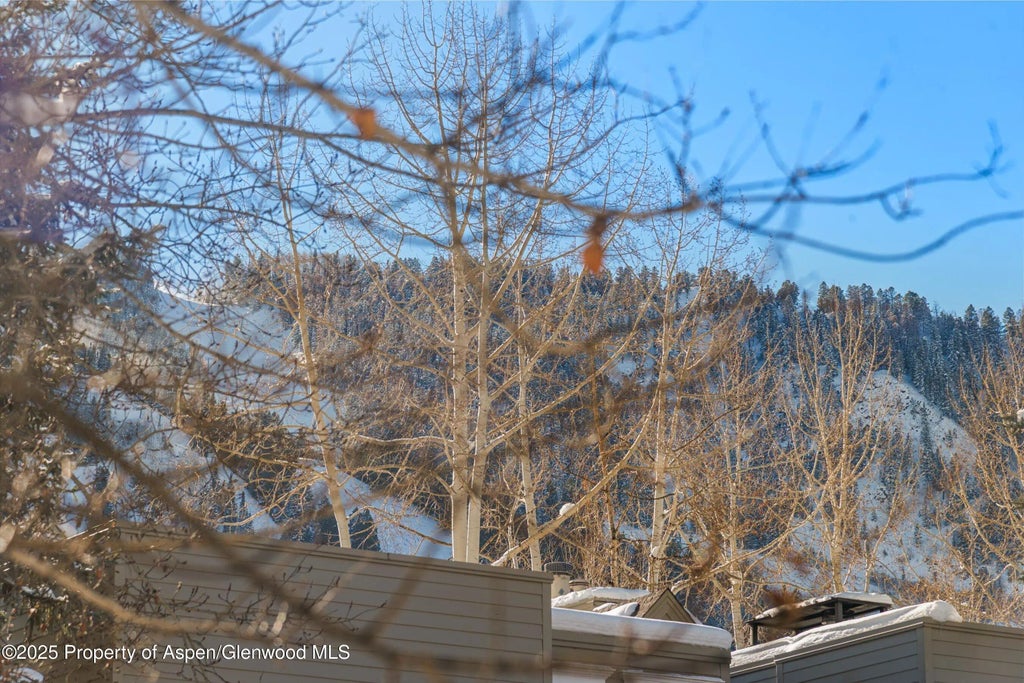 25 of 28 - 825 E Hopkins Avenue 2s, Aspen, CO