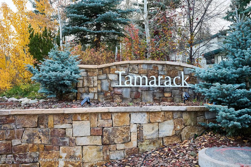 18 of 22 - 135 Carriage Way 26, Snowmass Village, CO