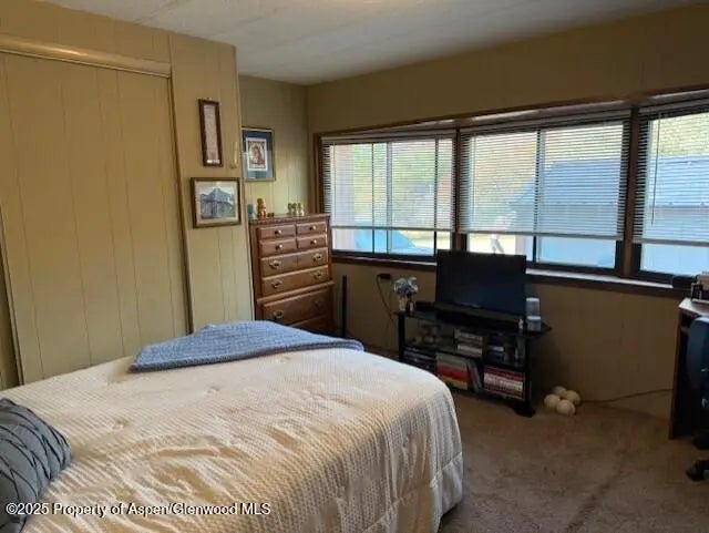 8 of 12 - 5387 County Road 154 #64, Glenwood Springs, CO