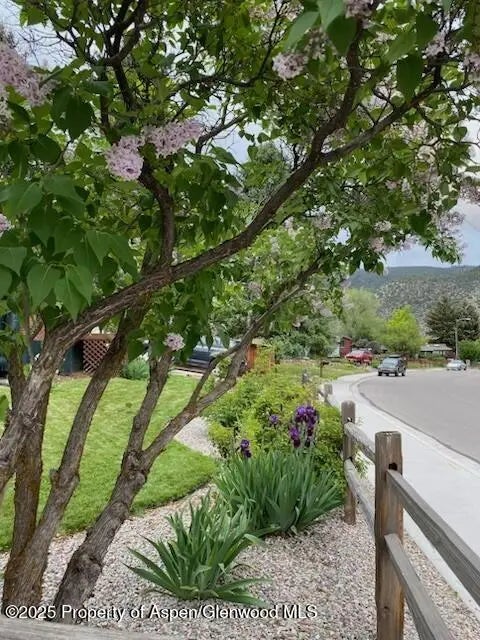 42 of 56 - 1019 Riverview Drive, Glenwood Springs, CO