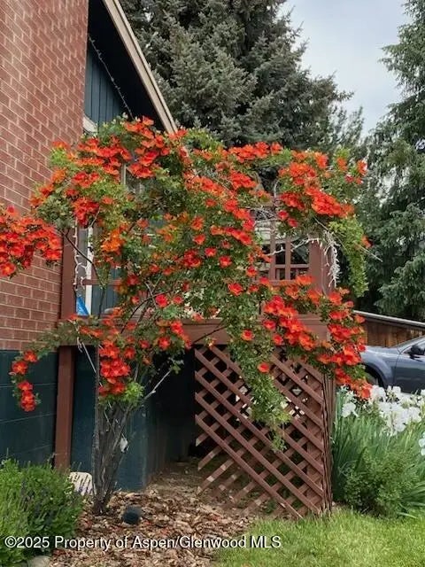 47 of 56 - 1019 Riverview Drive, Glenwood Springs, CO