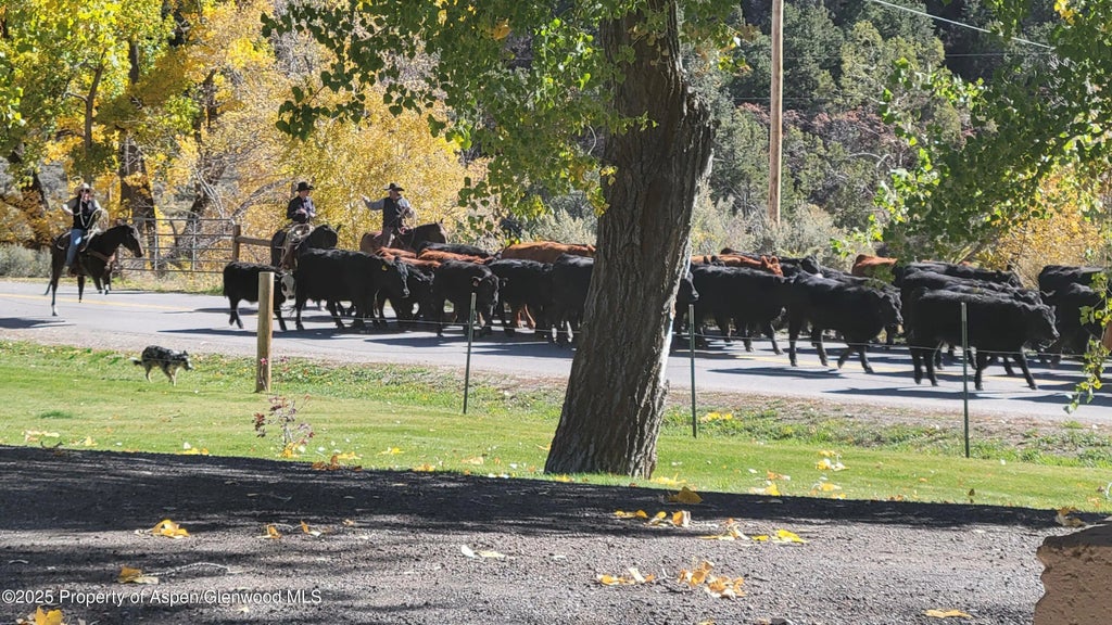 55 of 56 - 3211 County Road 237, Silt, CO