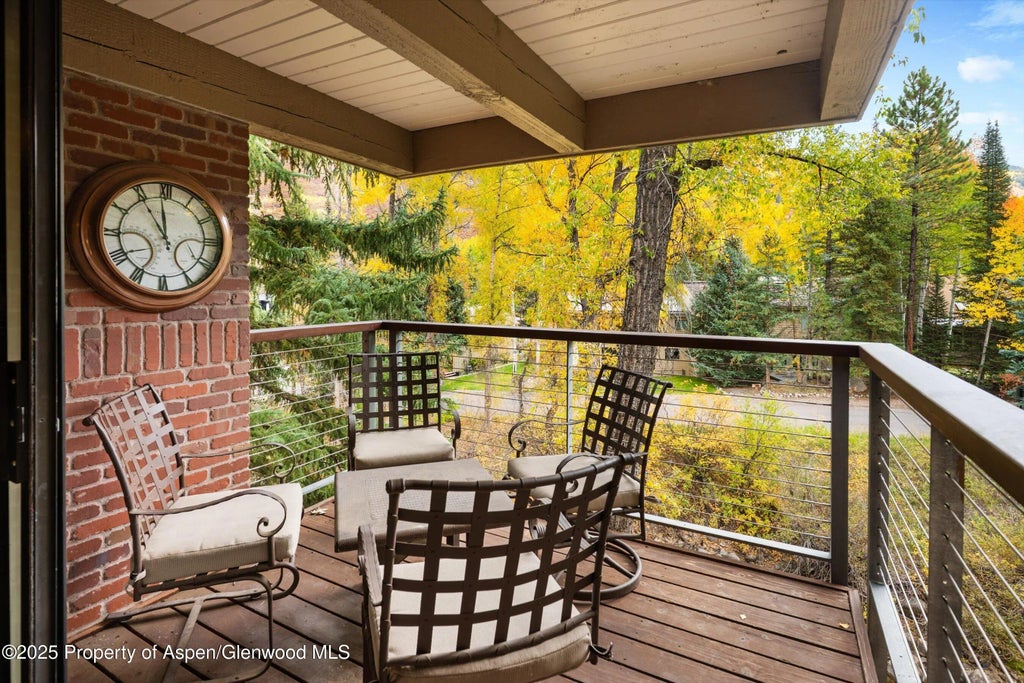 14 of 19 - 1034 E Cooper Avenue 19a, Aspen, CO