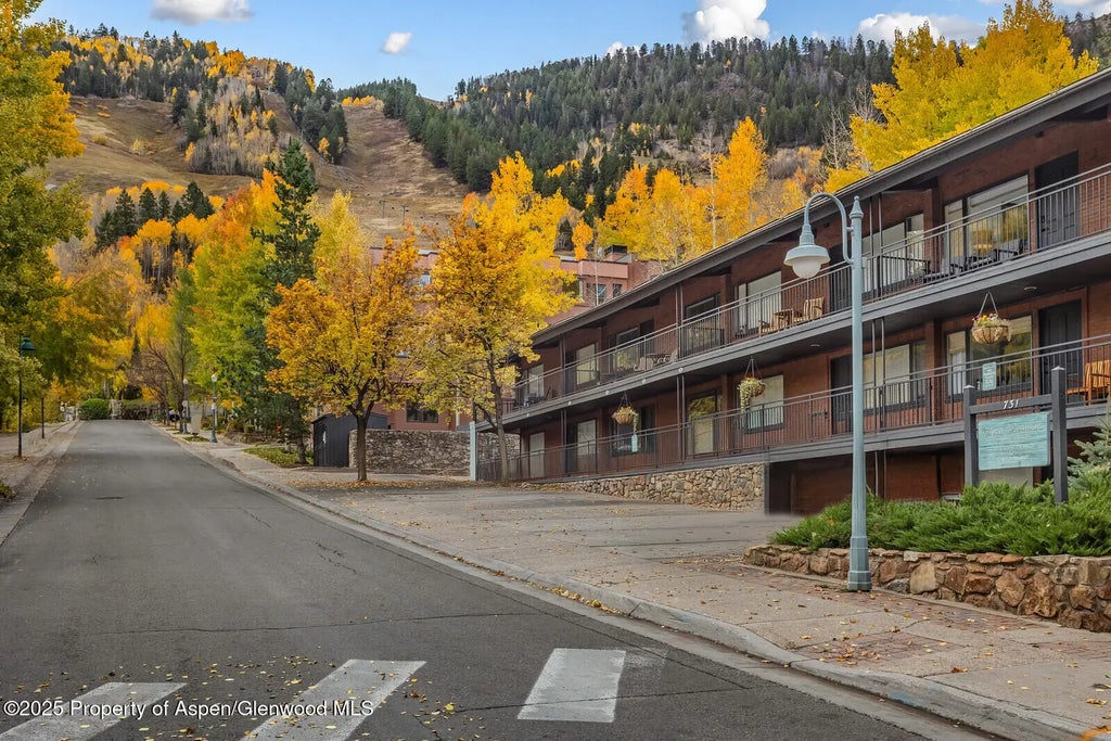 1 of 49 - 731 S Mill Street 3a, Aspen, CO