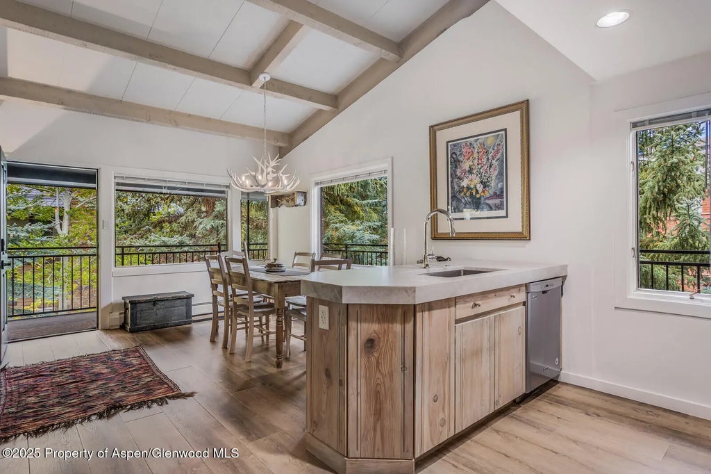 10 of 49 - 731 S Mill Street 3a, Aspen, CO