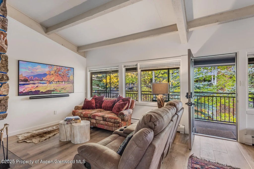 12 of 49 - 731 S Mill Street 3a, Aspen, CO