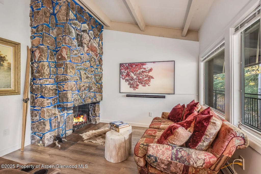 13 of 49 - 731 S Mill Street 3a, Aspen, CO