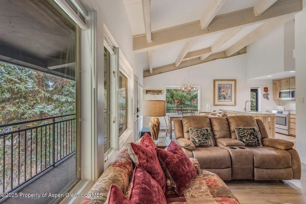 14 of 49 - 731 S Mill Street 3a, Aspen, CO