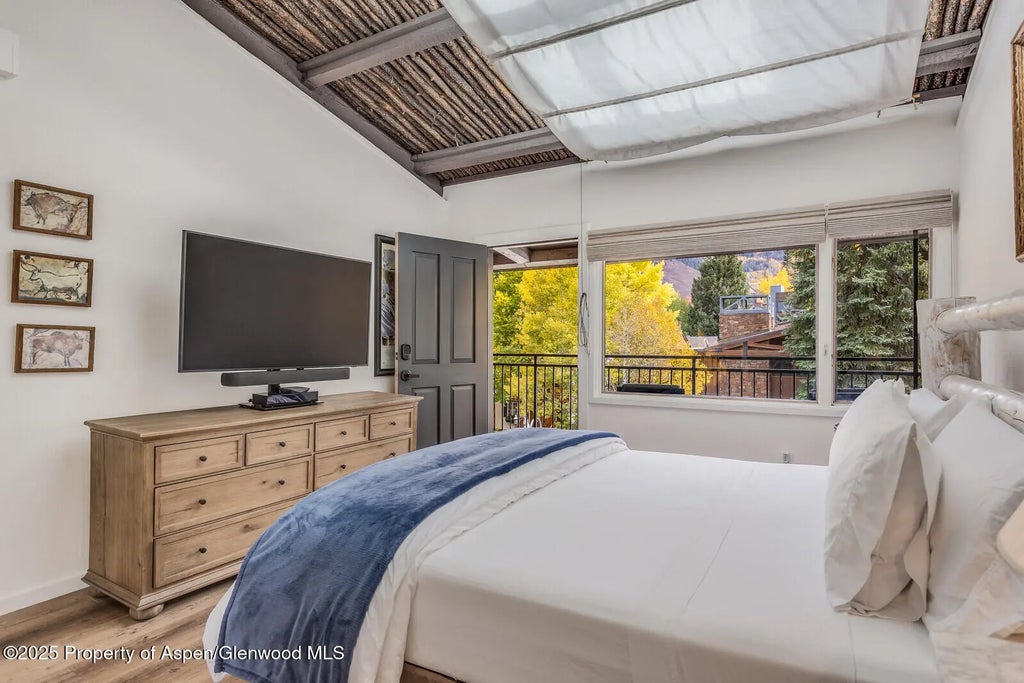 24 of 49 - 731 S Mill Street 3a, Aspen, CO