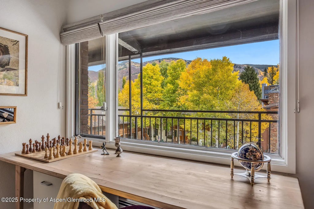 28 of 49 - 731 S Mill Street 3a, Aspen, CO