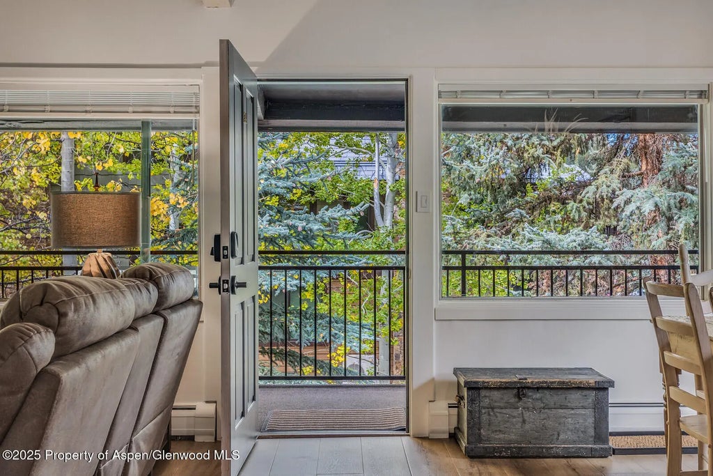 30 of 49 - 731 S Mill Street 3a, Aspen, CO