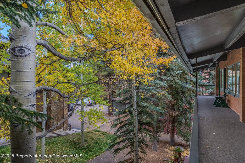 31 of 49 - 731 S Mill Street 3a, Aspen, CO