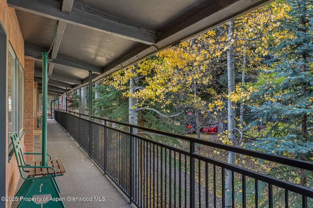 32 of 49 - 731 S Mill Street 3a, Aspen, CO