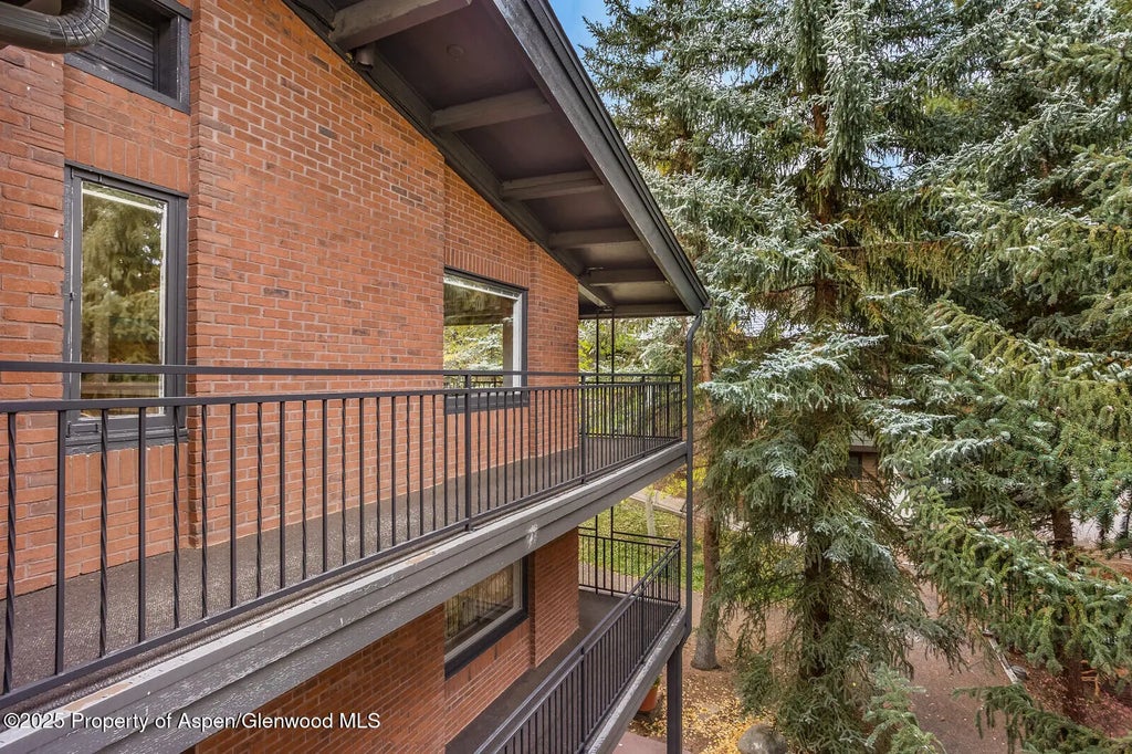 37 of 49 - 731 S Mill Street 3a, Aspen, CO