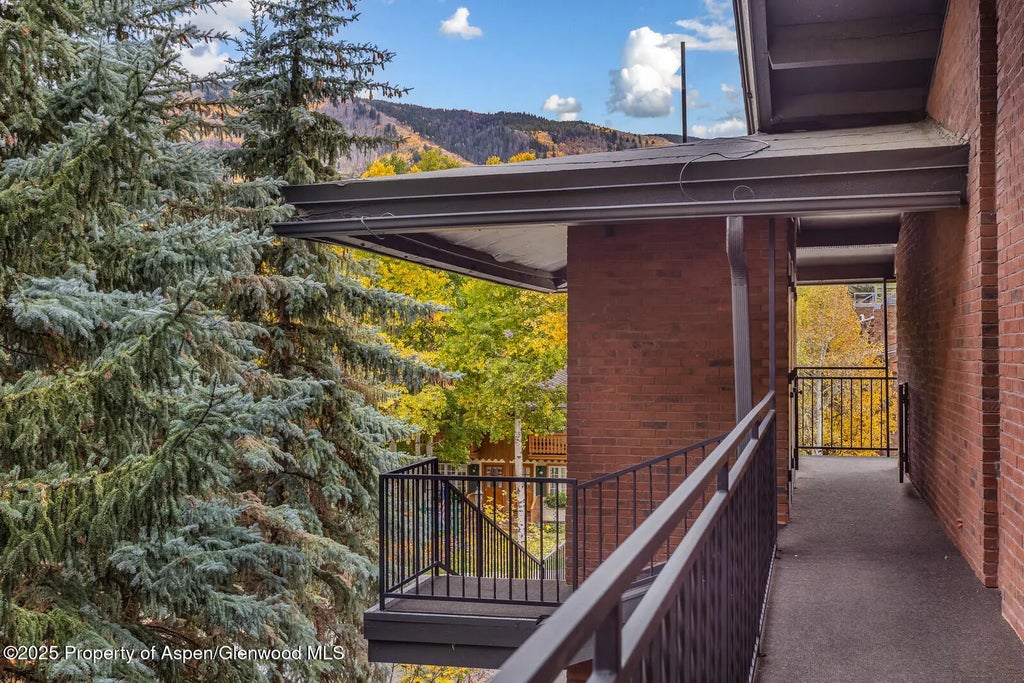 38 of 49 - 731 S Mill Street 3a, Aspen, CO
