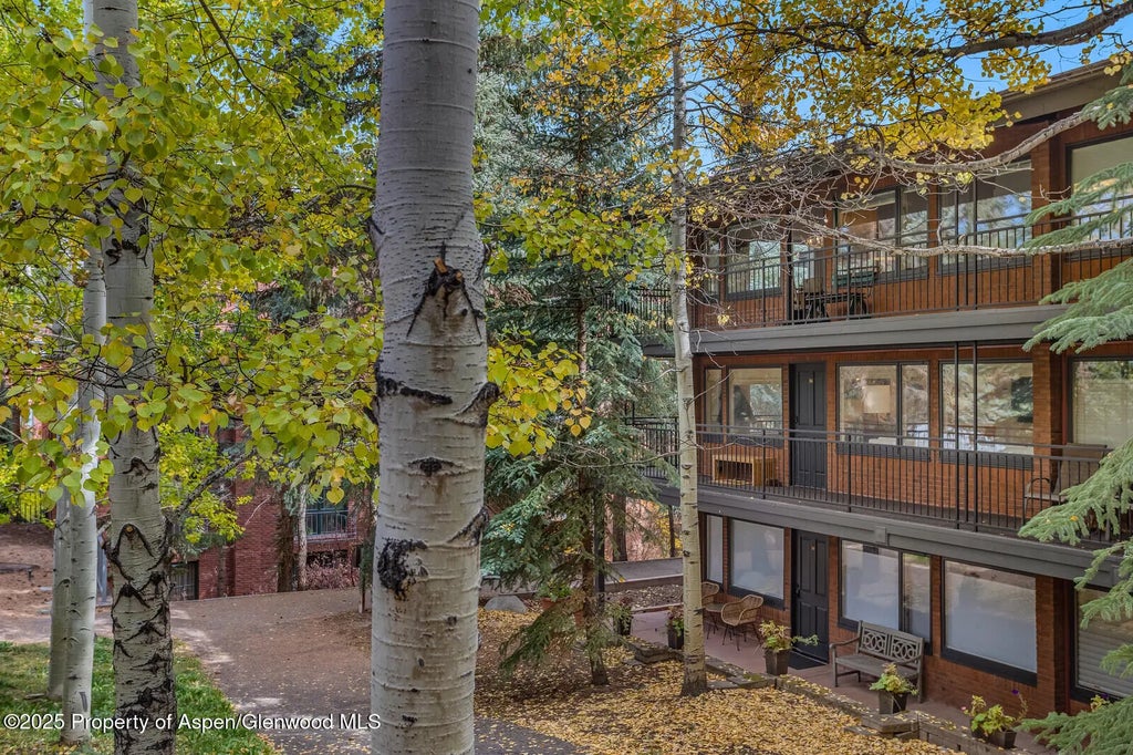 40 of 49 - 731 S Mill Street 3a, Aspen, CO