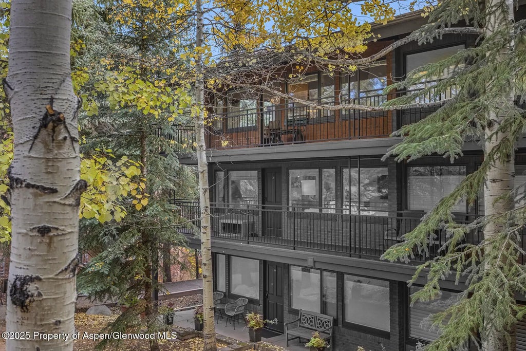 41 of 49 - 731 S Mill Street 3a, Aspen, CO