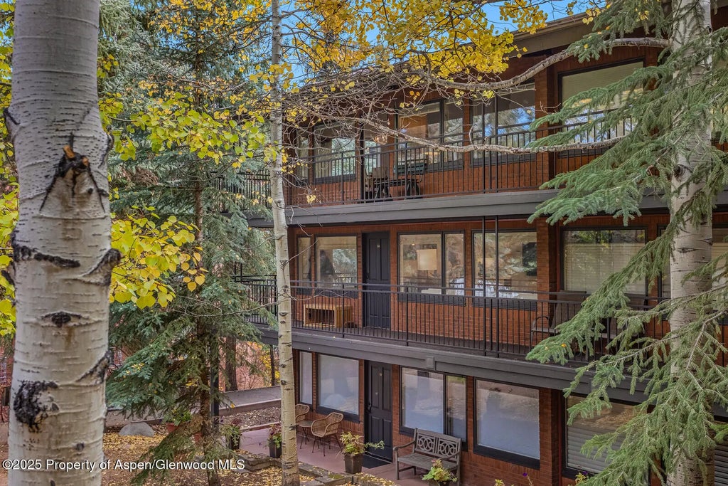 42 of 49 - 731 S Mill Street 3a, Aspen, CO