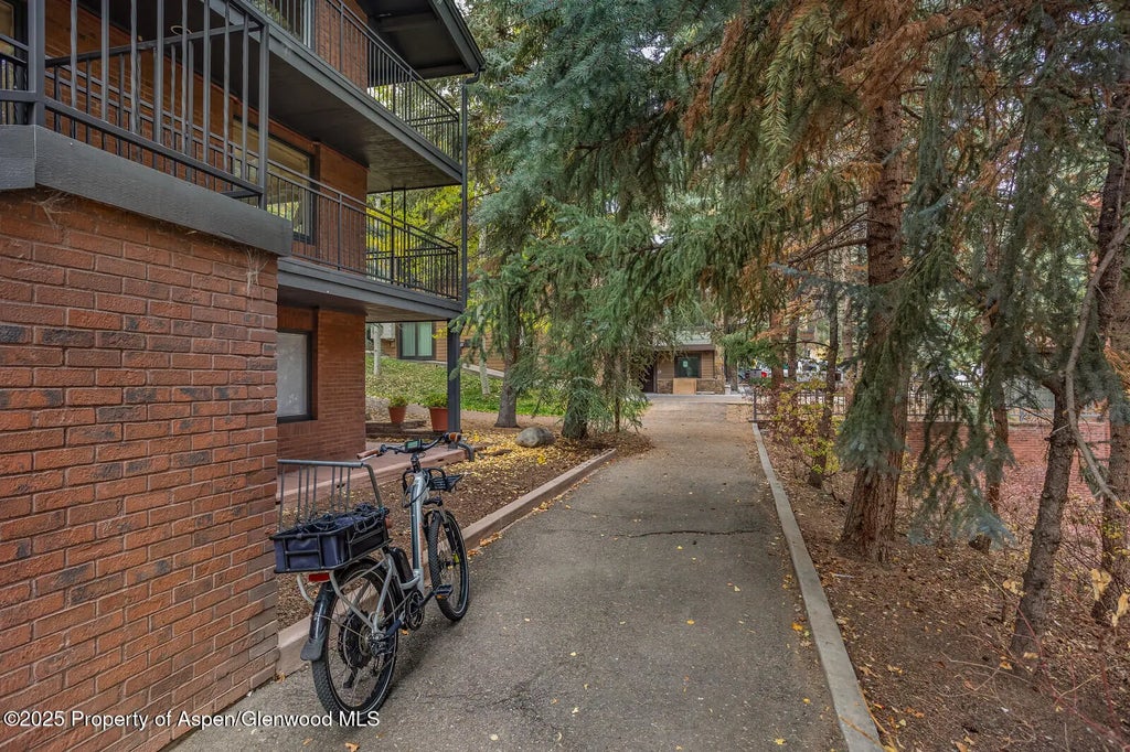 43 of 49 - 731 S Mill Street 3a, Aspen, CO