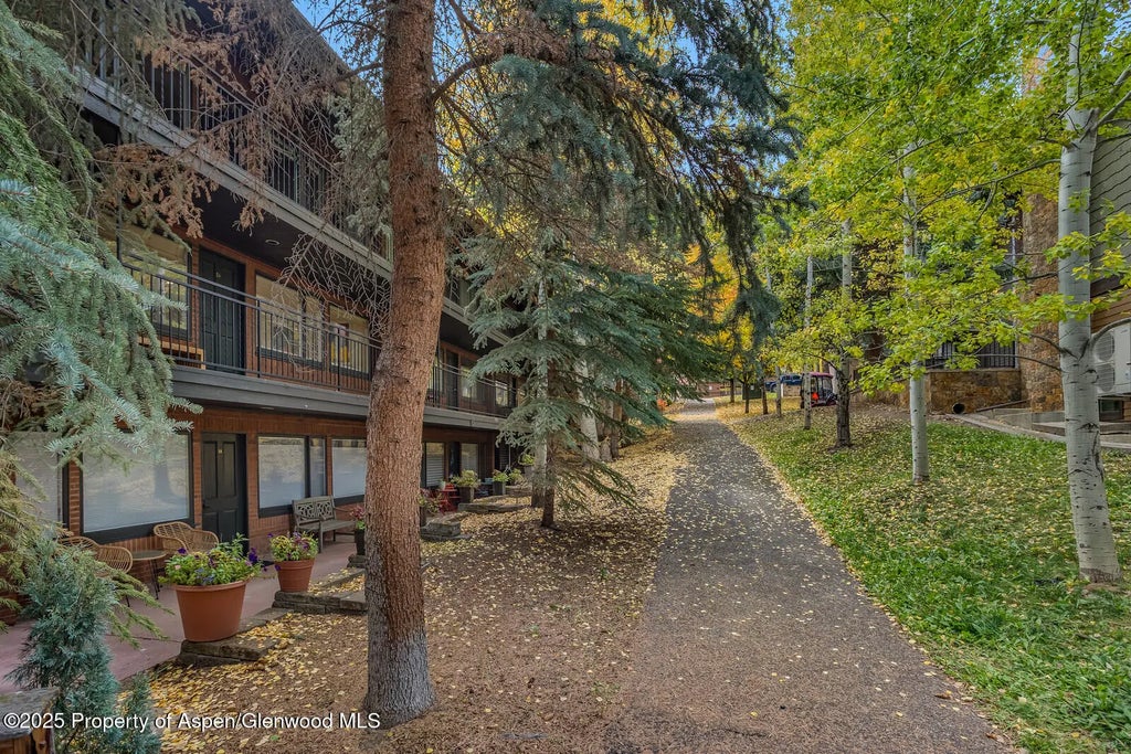 45 of 49 - 731 S Mill Street 3a, Aspen, CO