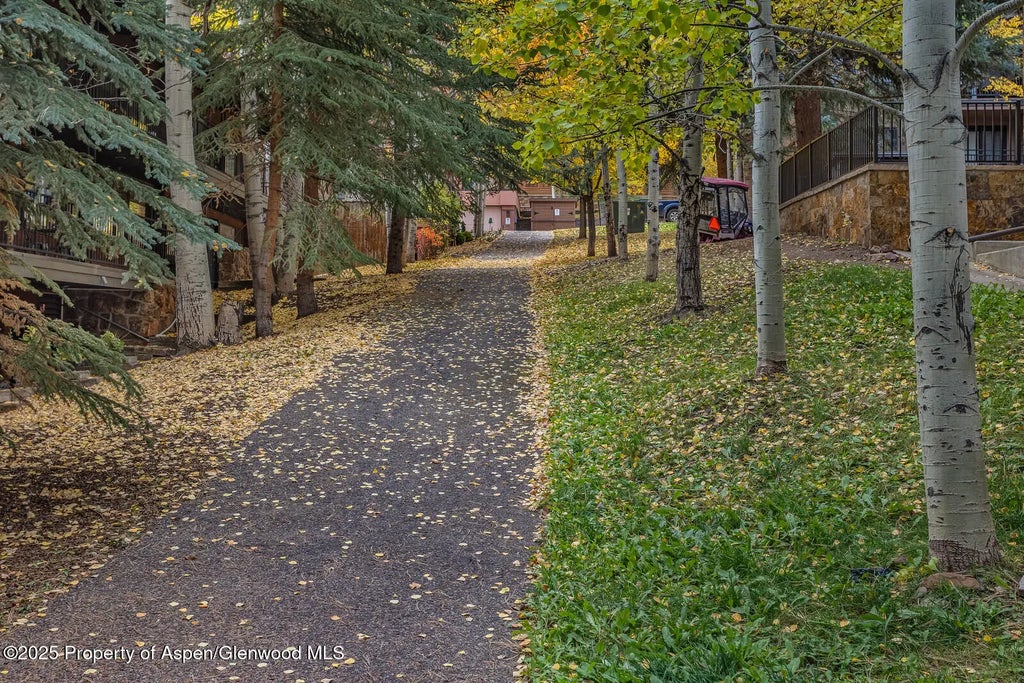 46 of 49 - 731 S Mill Street 3a, Aspen, CO