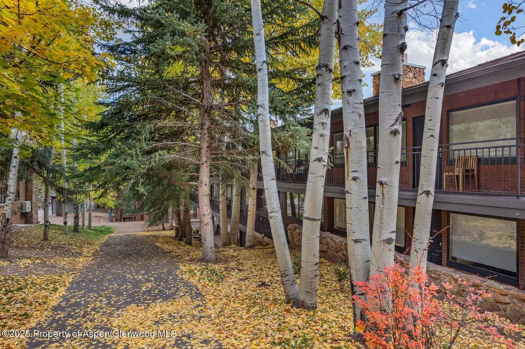 47 of 49 - 731 S Mill Street 3a, Aspen, CO