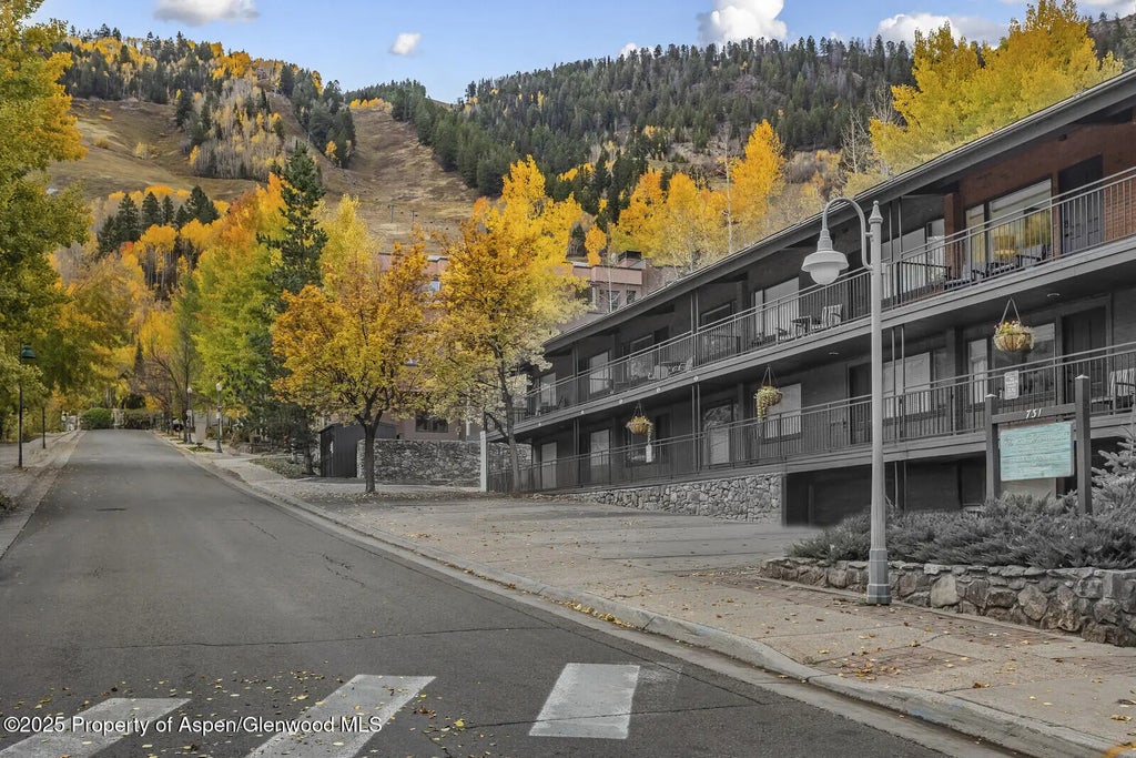 48 of 49 - 731 S Mill Street 3a, Aspen, CO