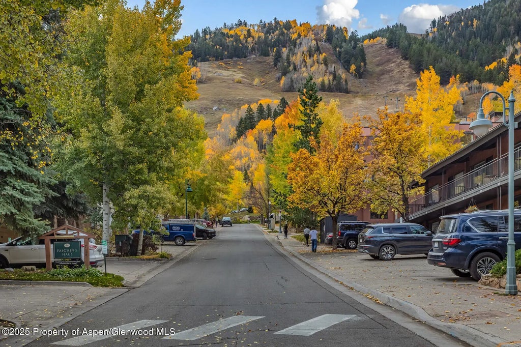 49 of 49 - 731 S Mill Street 3a, Aspen, CO