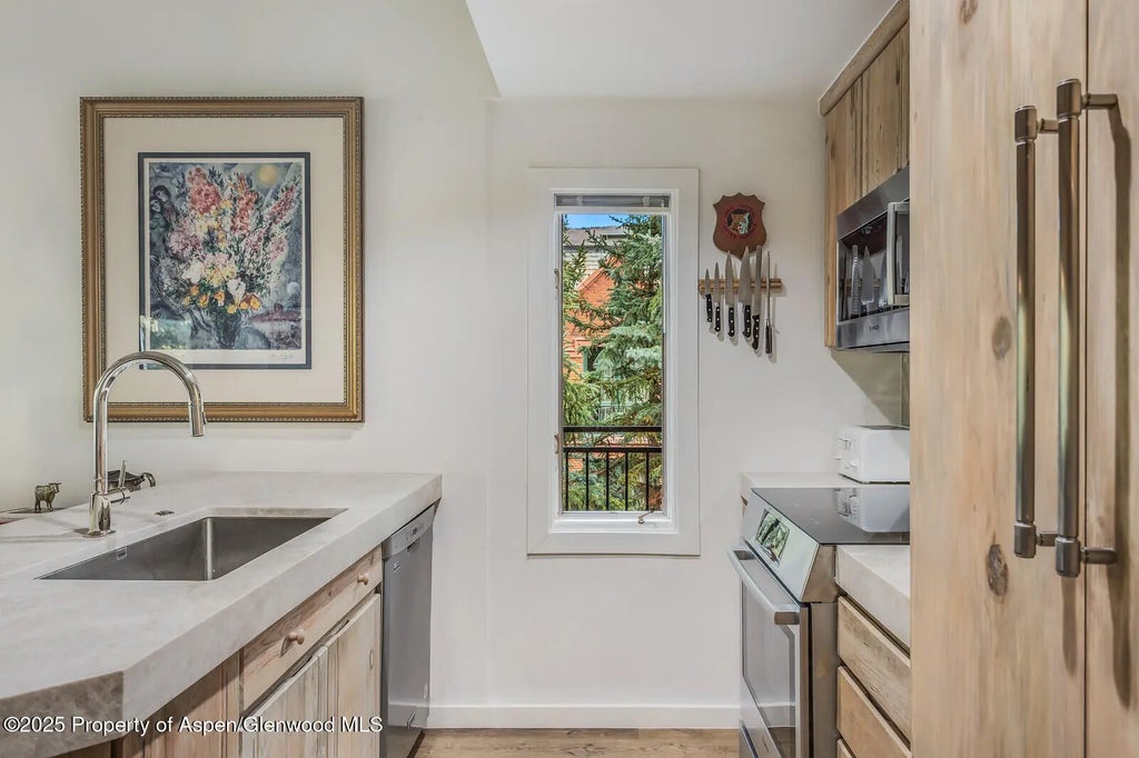 6 of 49 - 731 S Mill Street 3a, Aspen, CO