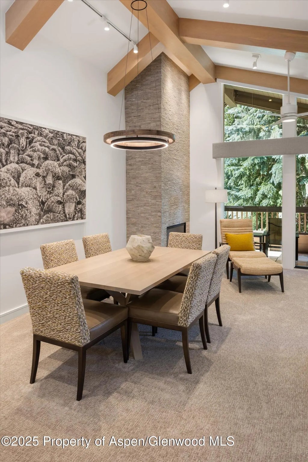 11 of 22 - 610 S West End Street A304, Aspen, CO