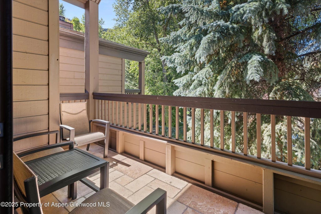 12 of 22 - 610 S West End Street A304, Aspen, CO