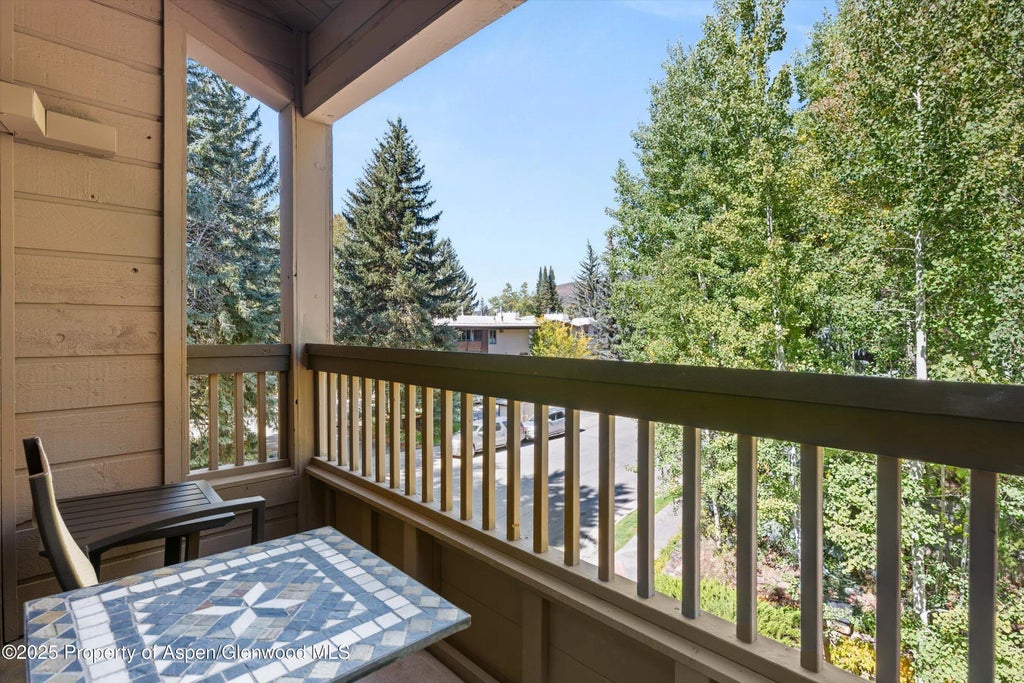 16 of 22 - 610 S West End Street A304, Aspen, CO