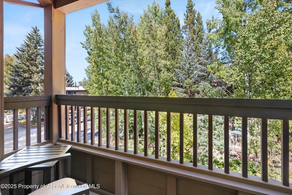 19 of 22 - 610 S West End Street A304, Aspen, CO