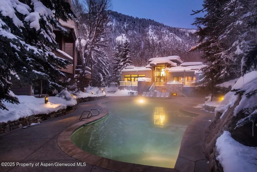 22 of 22 - 610 S West End Street A304, Aspen, CO