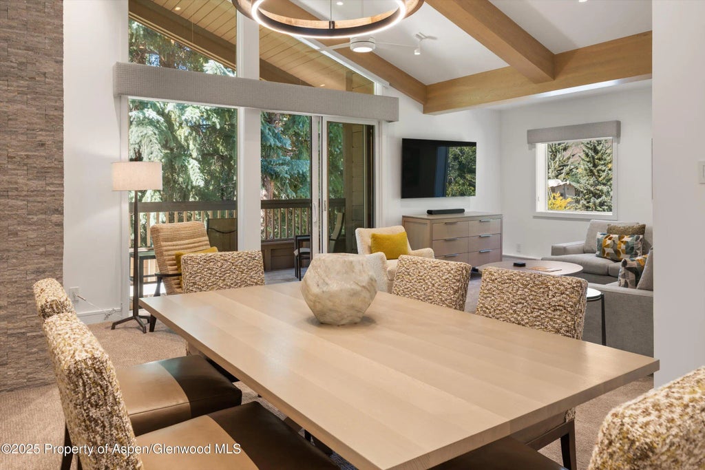 9 of 22 - 610 S West End Street A304, Aspen, CO