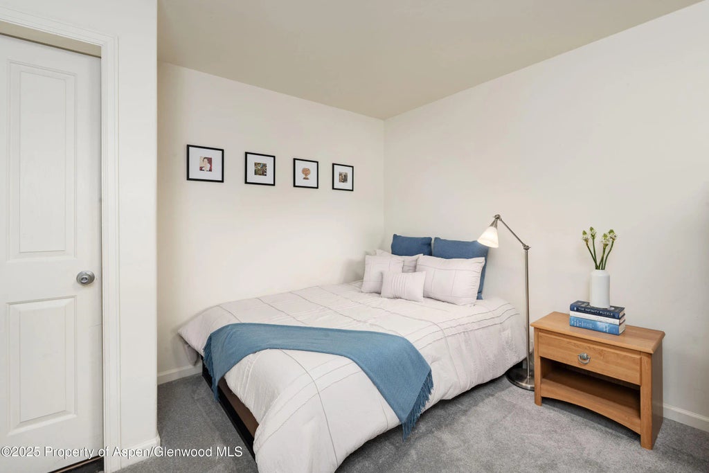 20 of 37 - 104 Lakeside Court, Basalt, CO