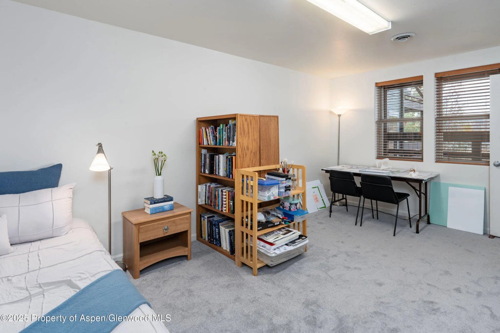 21 of 37 - 104 Lakeside Court, Basalt, CO