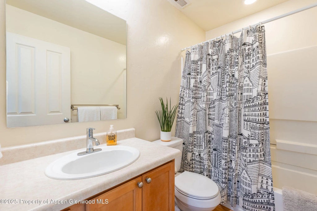 22 of 39 - 104 Lakeside Court, Basalt, CO