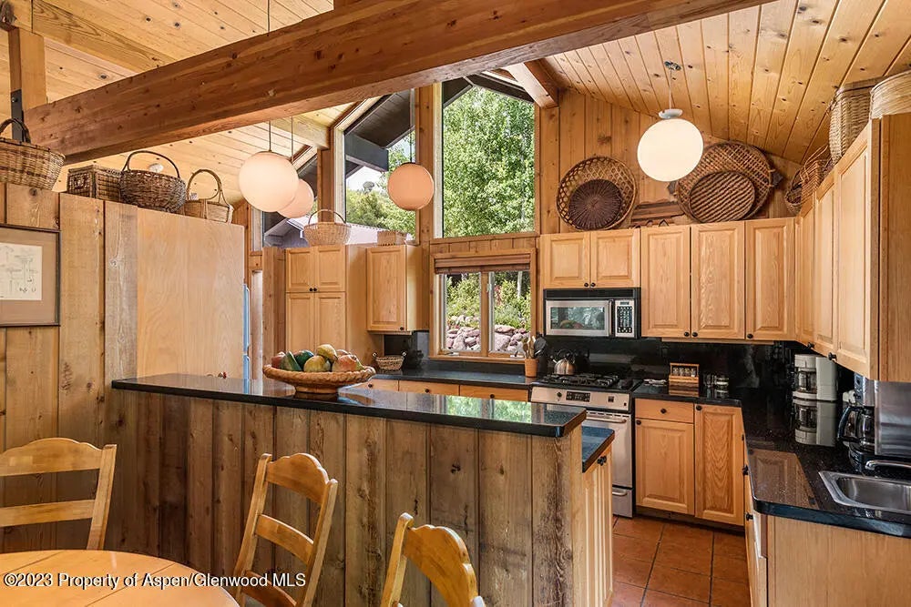 14 of 35 - 30 Smith Hill Way, Woody Creek, CO