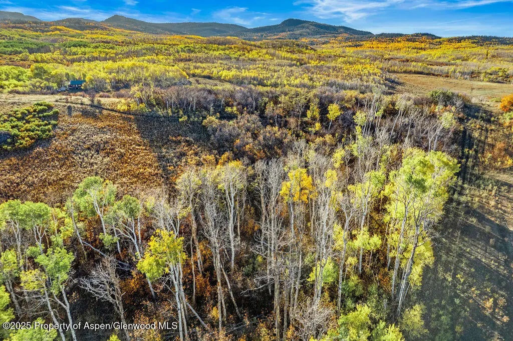 15 of 29 - 598 Fiddleneck Drive Lot: 60, Craig, CO