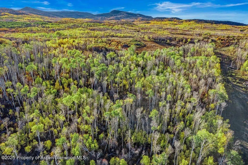 16 of 29 - 598 Fiddleneck Drive Lot: 60, Craig, CO