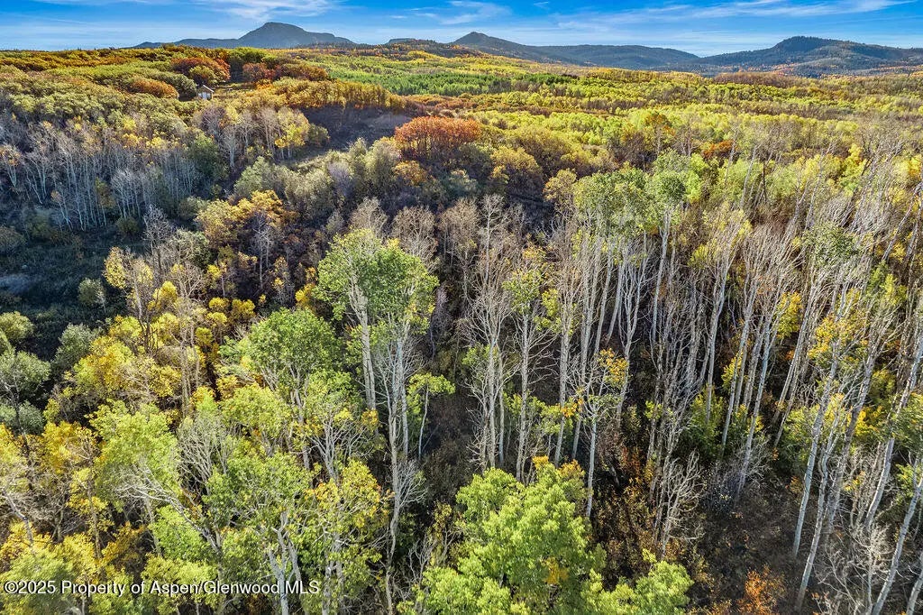 2 of 29 - 598 Fiddleneck Drive Lot: 60, Craig, CO