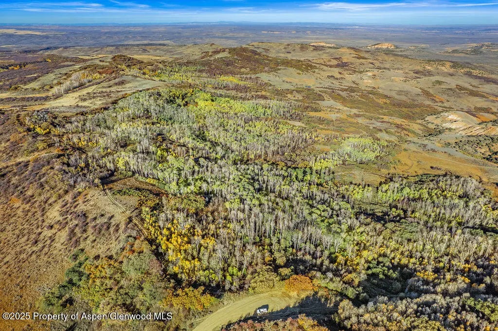 29 of 29 - 598 Fiddleneck Drive Lot: 60, Craig, CO
