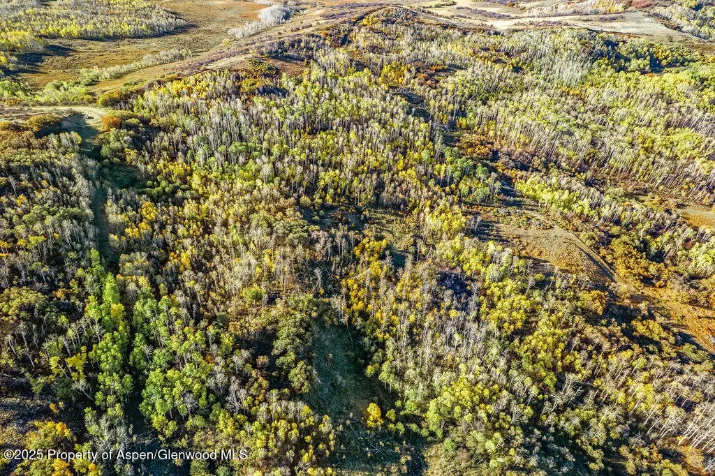 22 of 30 - 748 Fiddleneck Drive Lot: 61, Craig, CO