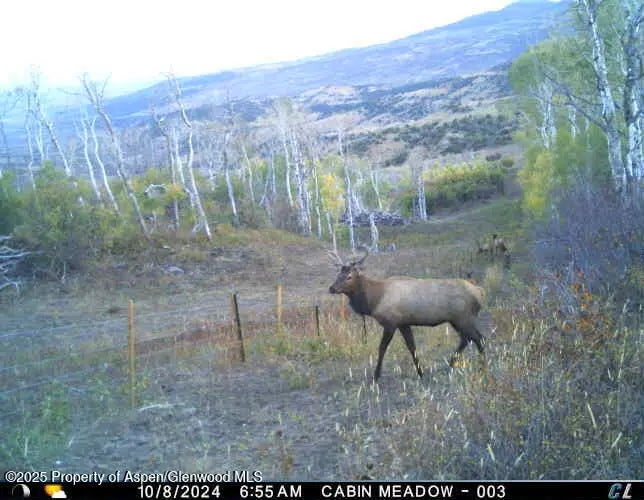 3 of 37 - 814 Fiddleneck Drive Lot: 62, Craig, CO