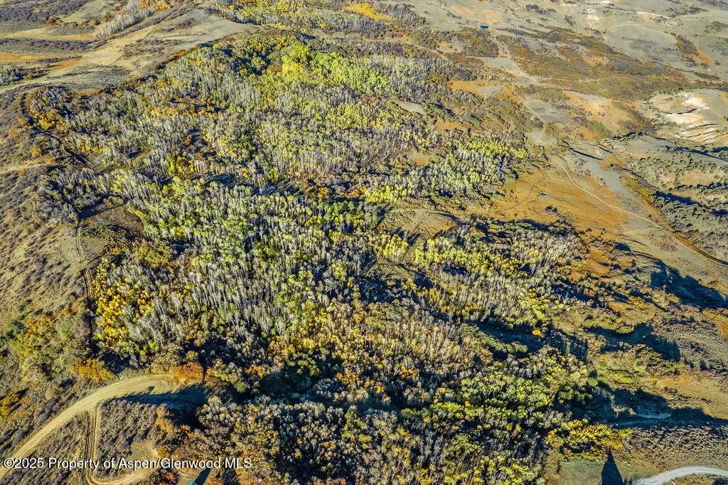 31 of 37 - 814 Fiddleneck Drive Lot: 62, Craig, CO