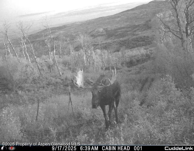 5 of 37 - 814 Fiddleneck Drive Lot: 62, Craig, CO