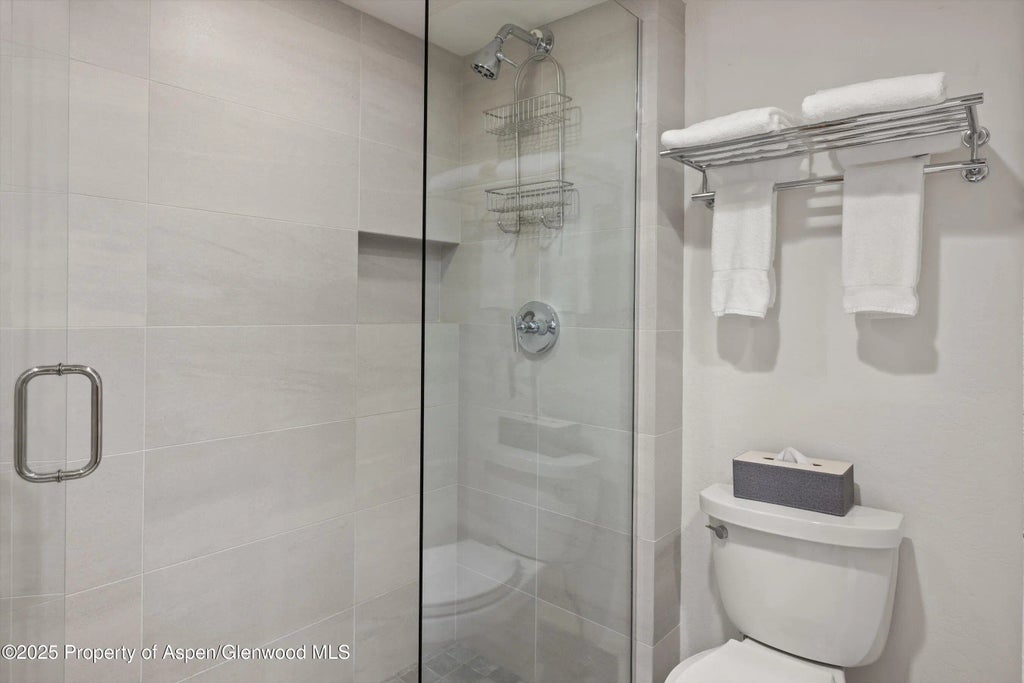 14 of 18 - 425 Wood Road 19, Snowmass Village, CO