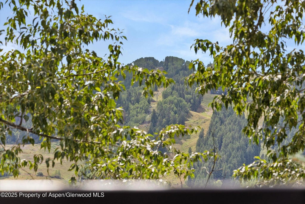 2 of 58 - 122 W Main Street, Aspen, CO